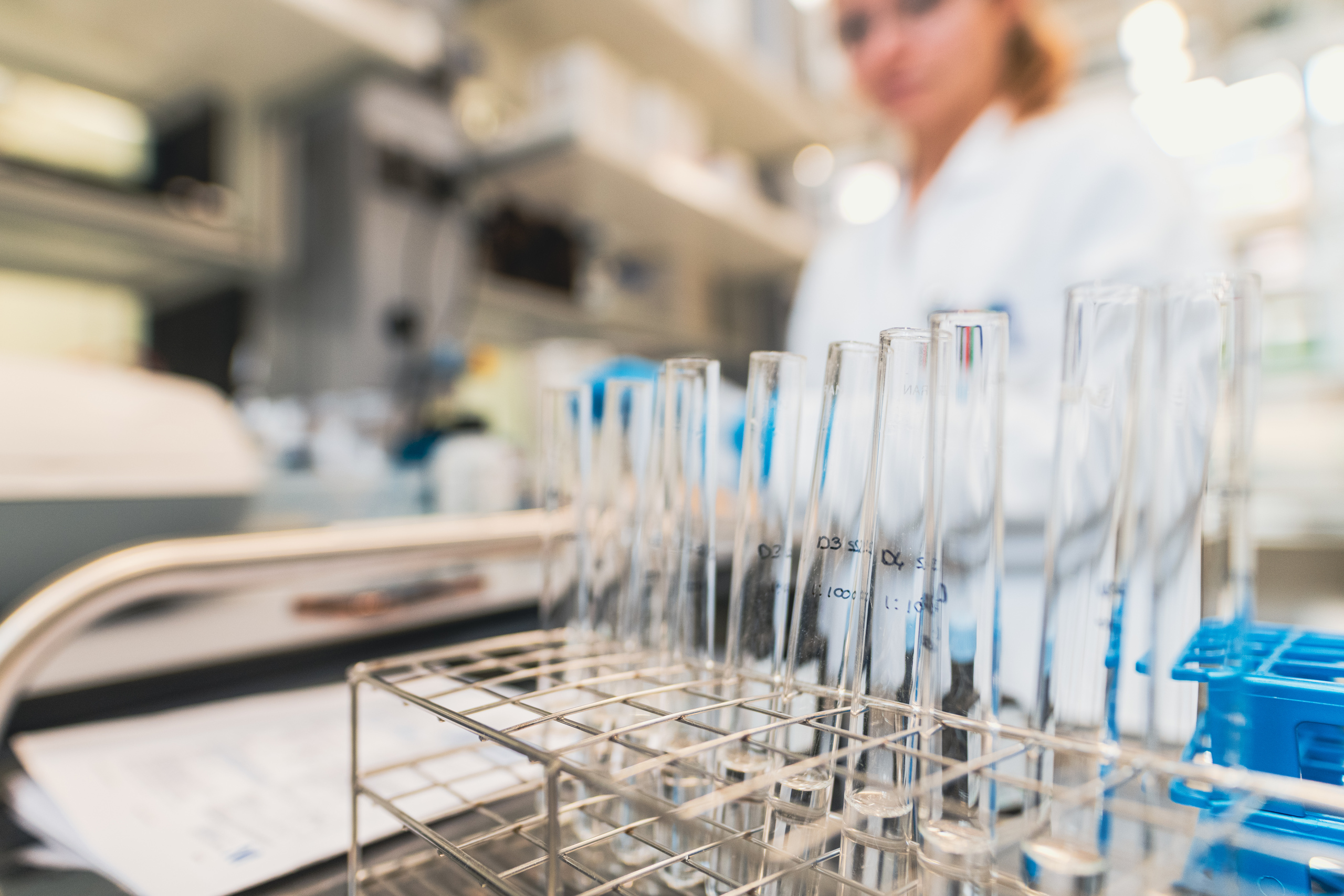 Écosystème complet